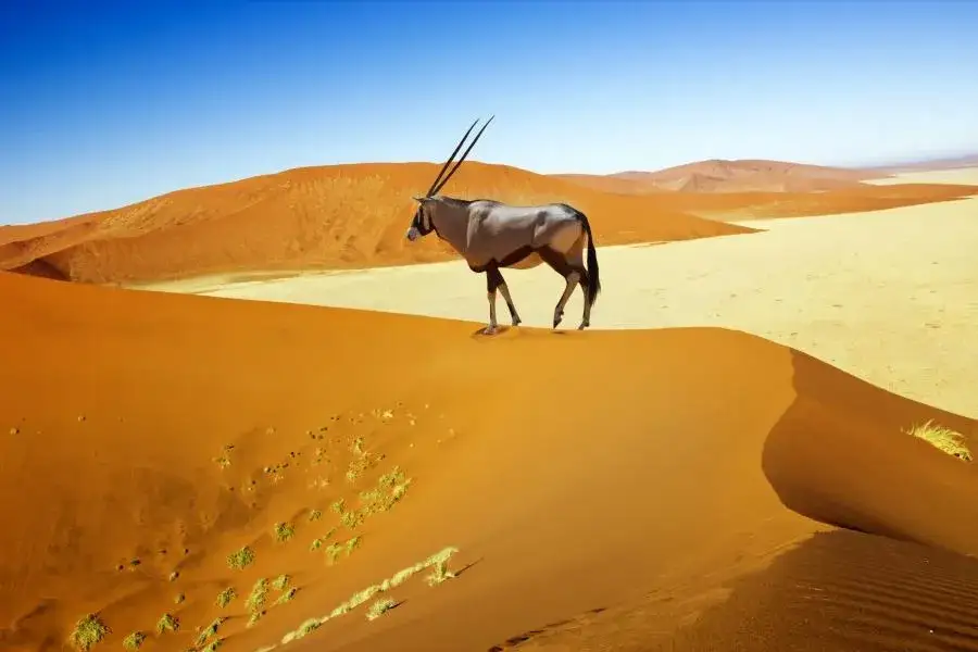 Namibia krajobrazy bezpieczeństwo podróży