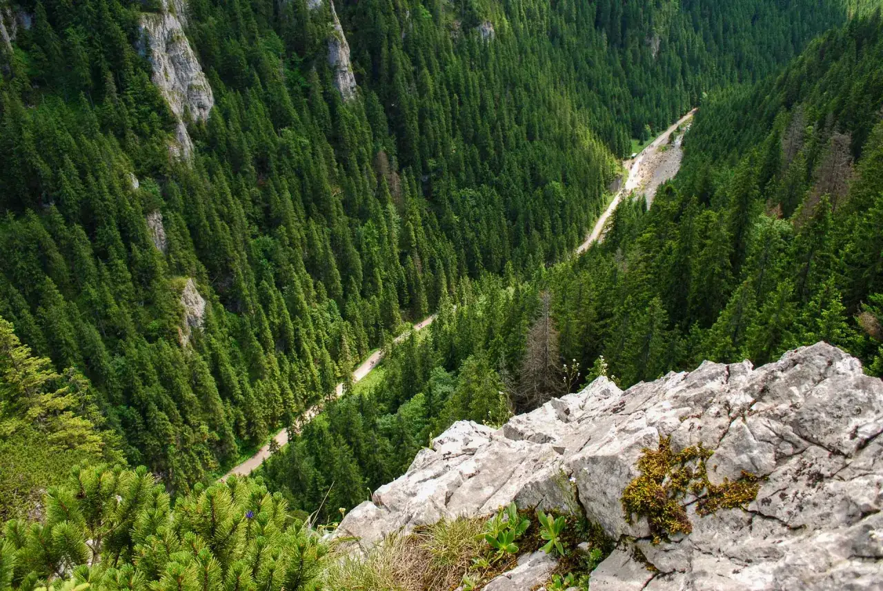 Dolina Kościeliska widoki Tatry